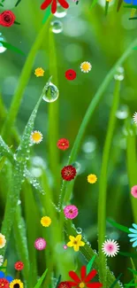 Green grass with colorful flowers and dewdrops mobile wallpaper.