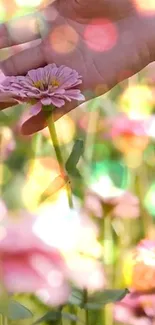 Hand touching pink flowers amidst colorful blooms with bokeh effect.