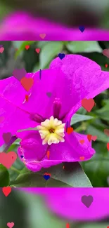 Magenta flower with hearts mobile wallpaper.