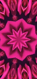 Fuchsia floral kaleidoscope wallpaper with symmetrical design.