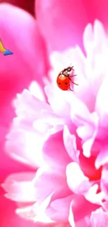 Pink flower close-up with ladybug and emojis.