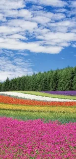 Colorful flower fields under a blue sky with fluffy clouds.