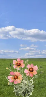 Pink flowers against a blue sky in a green field.