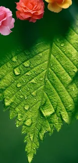 Green leaf with colorful flowers on a mobile wallpaper.