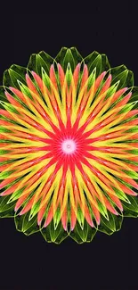 Vibrant floral mandala with geometric design on a dark background.