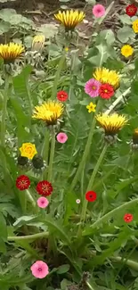 Vibrant floral wallpaper with yellow and red flowers in a green meadow.