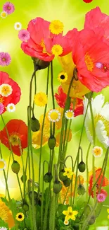 Vibrant poppy flowers on a green glowing background.