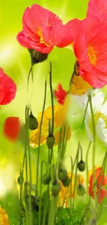 Vibrant floral mobile wallpaper with colorful flowers on a green background.