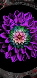 Vibrant purple flower with green center on dark background mobile wallpaper.