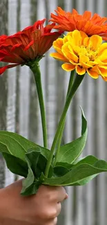 A vibrant bouquet of red, orange, and yellow flowers in hand.