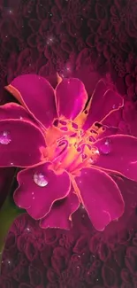 Magenta flower with dewdrops on a dark patterned background.