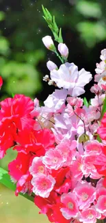 Vibrant red and pink flower bouquet with green background.