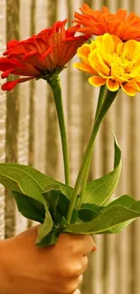 Hand holding bright orange, red, and yellow flowers.