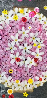 Vibrant floral wallpaper with pink, white, and yellow flowers.