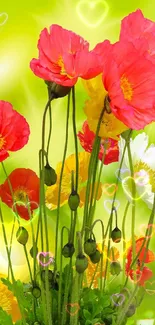 Bright poppies with green background wallpaper.