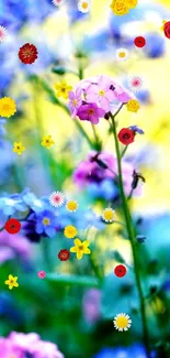 Vibrant wildflower wallpaper with blue and pink flowers for mobile.