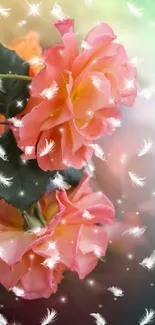 Vibrant coral pink roses with white feathers on a dreamy bokeh background.