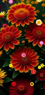 Vibrant red and orange floral mobile wallpaper with blossoms.