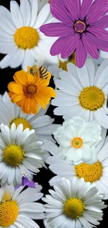 Vibrant mobile wallpaper with daisies and a purple flower with a bee.