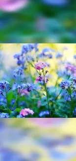 Colorful floral wallpaper with pink and purple blooms in a green garden setting.