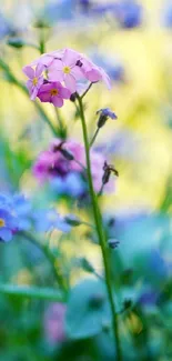 Vibrant blue and pink wildflowers in a lush, natural setting.