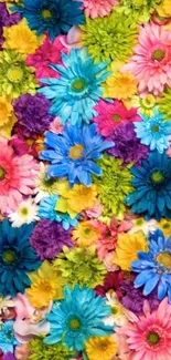 Colorful floral mobile wallpaper with diverse flowers.