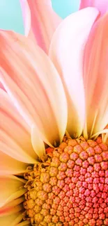 Close-up of a vibrant pink and orange flower with delicate petals.