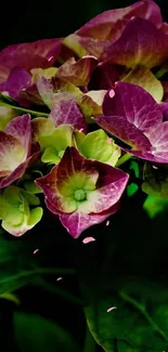 Vibrant purple and green floral wallpaper for mobile screen.