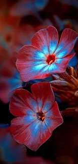 Vibrant red and blue flowers with a blurred background.