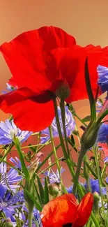 Red poppies and blue flowers under a sunset sky, vibrant mobile wallpaper.