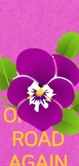 Purple flower with green leaves on pink background offers vibrant phone wallpaper.