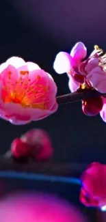 Pink blossoms in vibrant floral wallpaper.