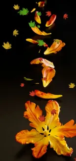 Autumn-themed mobile wallpaper with orange petals on a dark background.