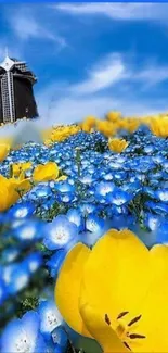 Yellow and blue flowers under a bright sky with a building in the background.