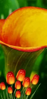 Vibrant orange and yellow flowers on a lush green mobile wallpaper.