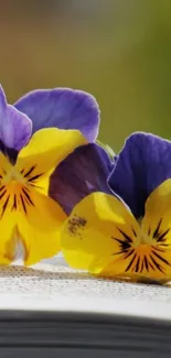 Vibrant wallpaper with purple and yellow pansy flowers on an open book.