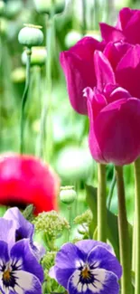 Pink tulips and violets in colorful floral wallpaper.