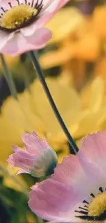 Delicate pink and yellow floral mobile wallpaper with poppies.