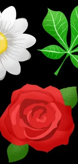 Vibrant wallpaper with red rose, white daisy, and green leaf on black background.