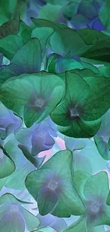 Vibrant green and blue floral mobile wallpaper.