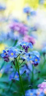 Close-up of blue and purple flowers in a vibrant garden setting.