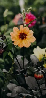 Orange flower surrounded by lush dark green leaves in a mobile wallpaper.