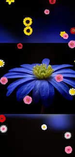 Blue flower with colorful floating petals on dark background.