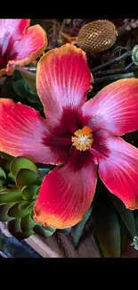 Red flower with succulents in vibrant wallpaper.