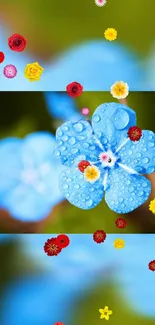 Vibrant blue flower with colorful blossoms on mobile wallpaper.