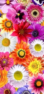 Colorful floral mobile wallpaper with vibrant flowers.