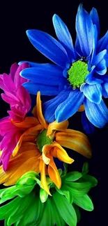 Vibrant colorful flowers on dark background wallpaper.