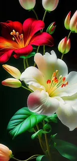 Mobile wallpaper featuring vibrant red and white flowers.