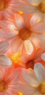 Vibrant floral wallpaper with orange daisies.