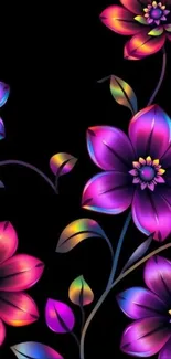 Vibrant purple and pink floral design on black background.